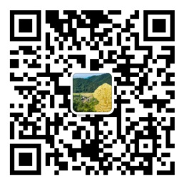 玩彩网app